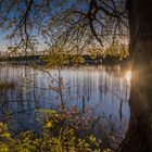  Am  Wendelsdorfer See 