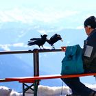 Am Wendelstein auf 1838m  