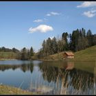 Am Weniger Weiher