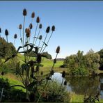 Am Wenigerweiher