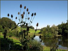 Am Wenigerweiher