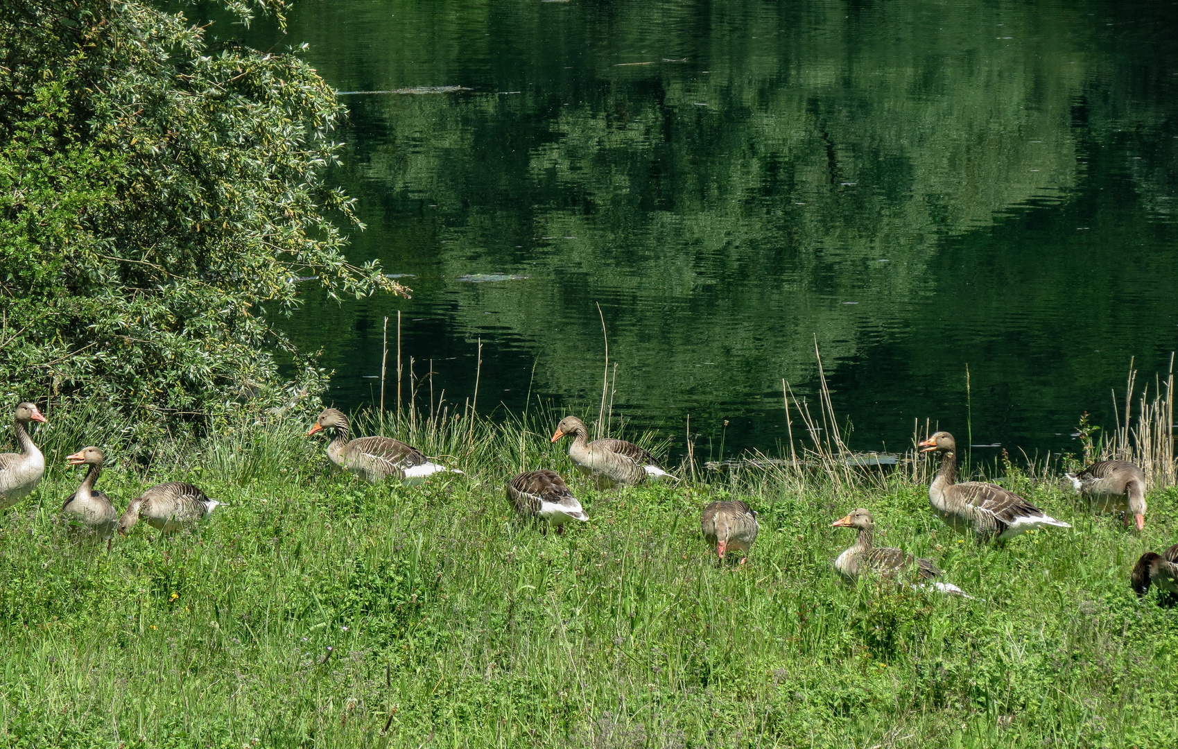 Am Wernauer See 