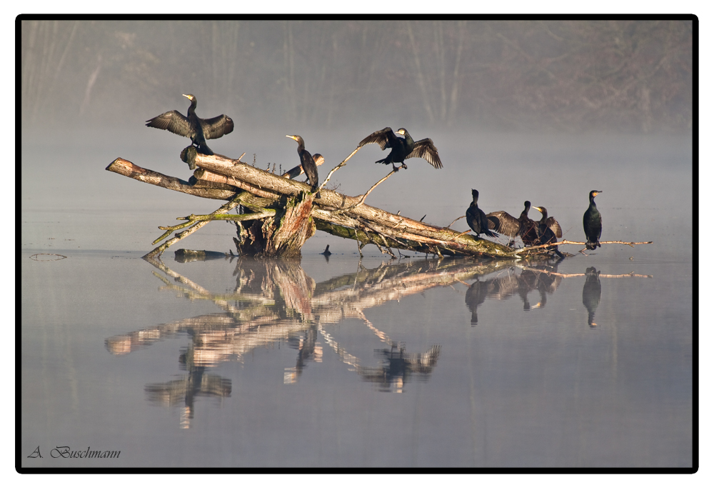 Am Wernauer See...