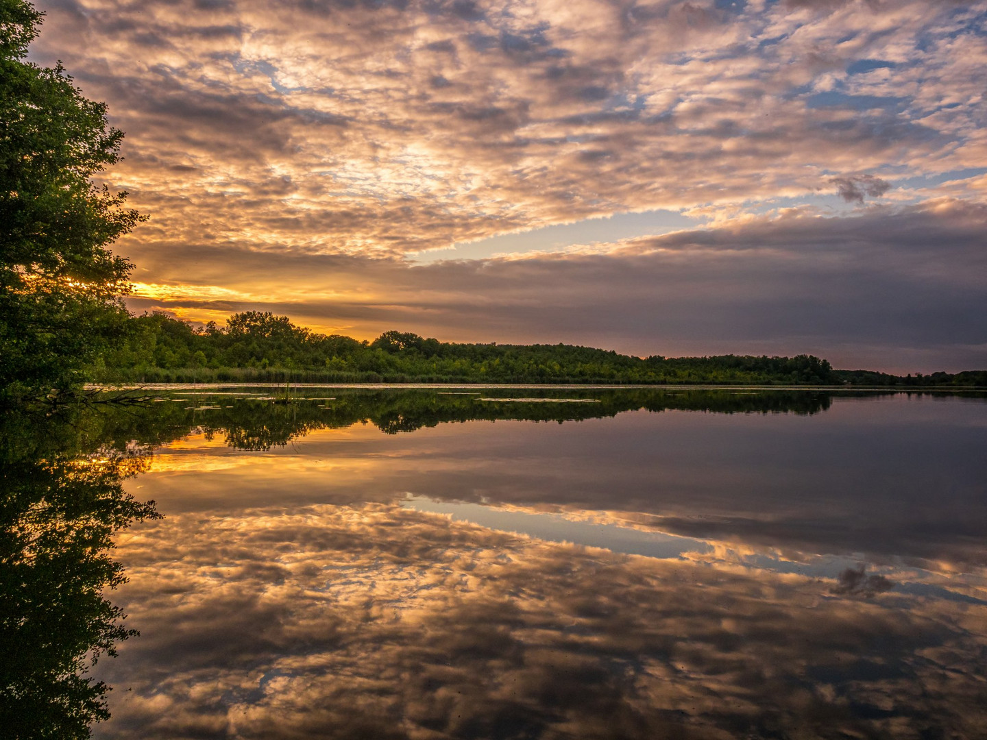 Am Wernsdorfer See1