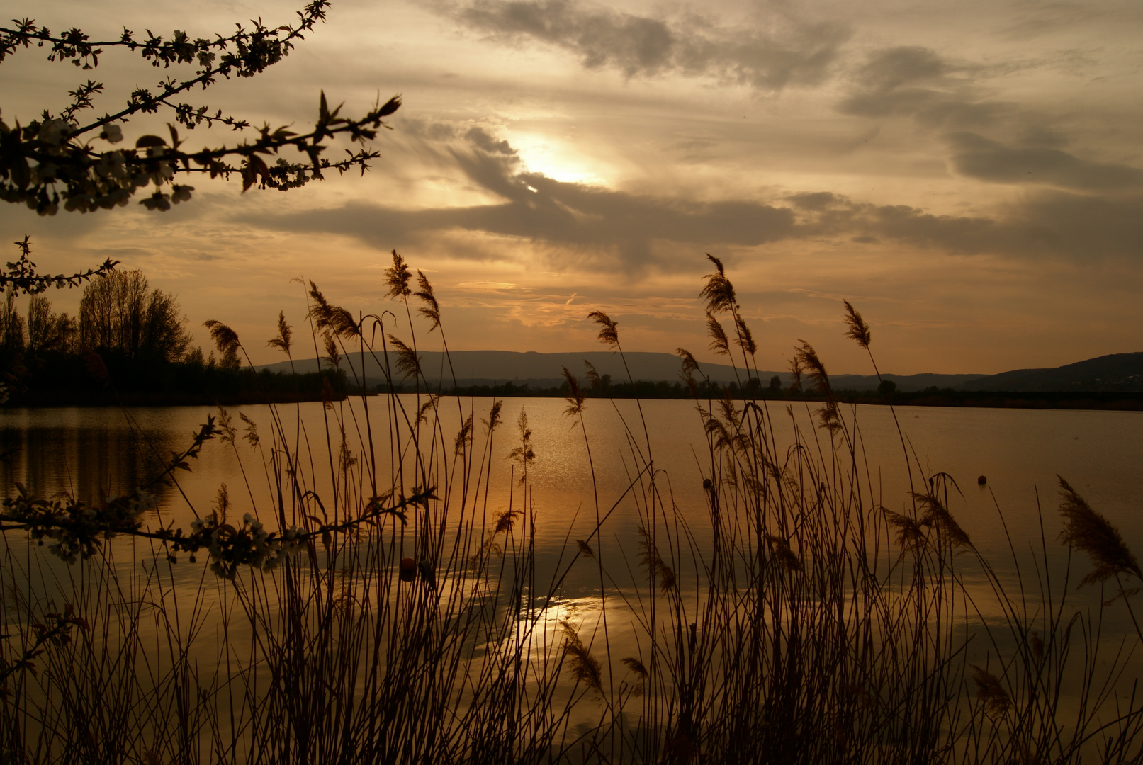 am werratalsee/eschwege