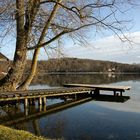 Am Weßlinger See..