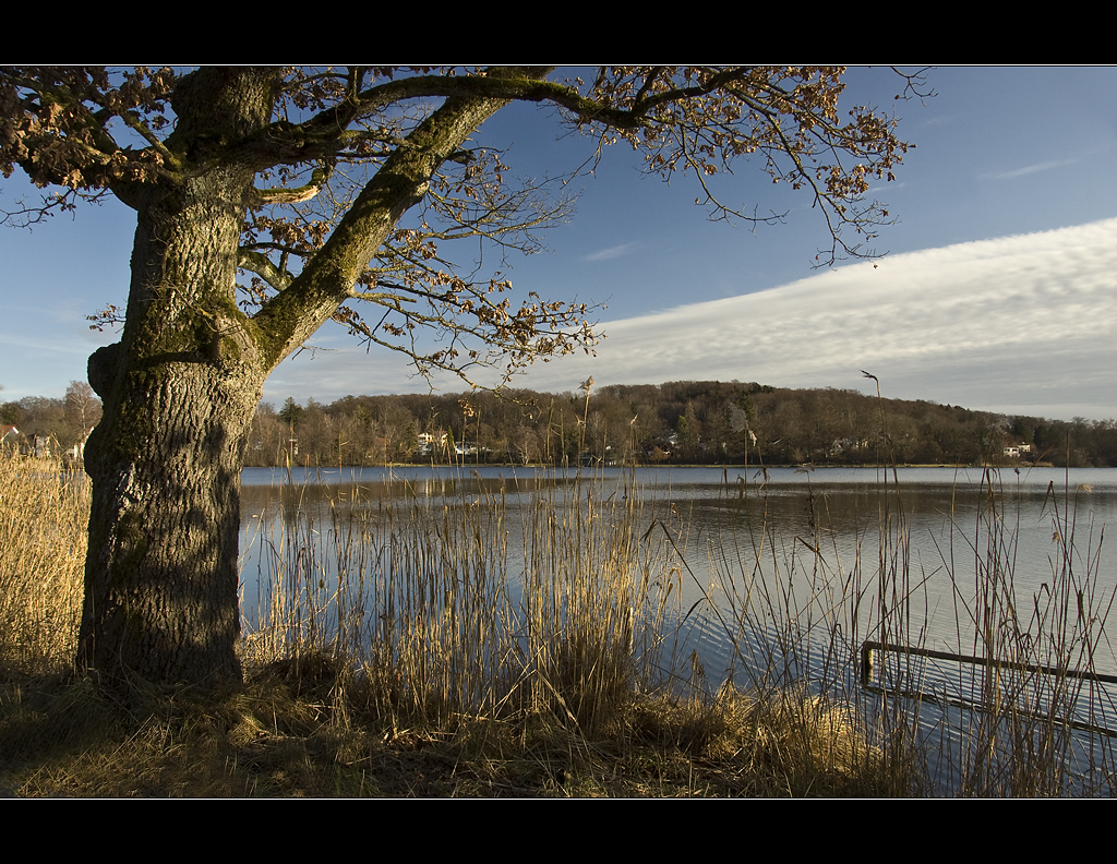 Am Weßlinger See