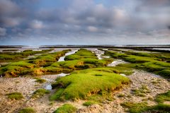 Am Westerdeich bei Vollerwiek