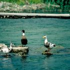 Am westlichen Ohridsee