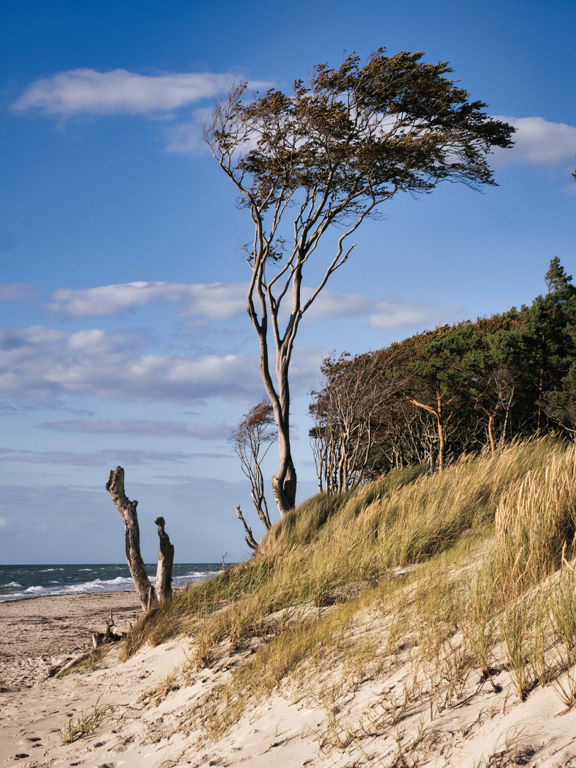 Am Weststrand