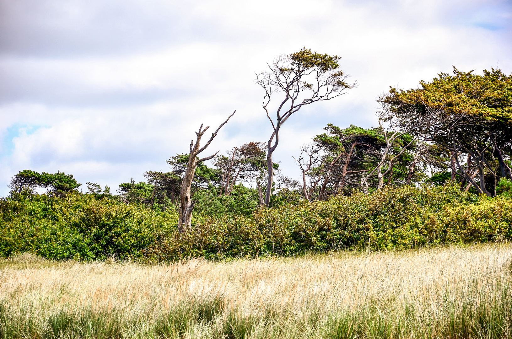 Am Weststrand