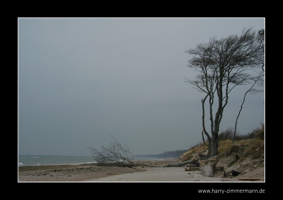 Am Weststrand