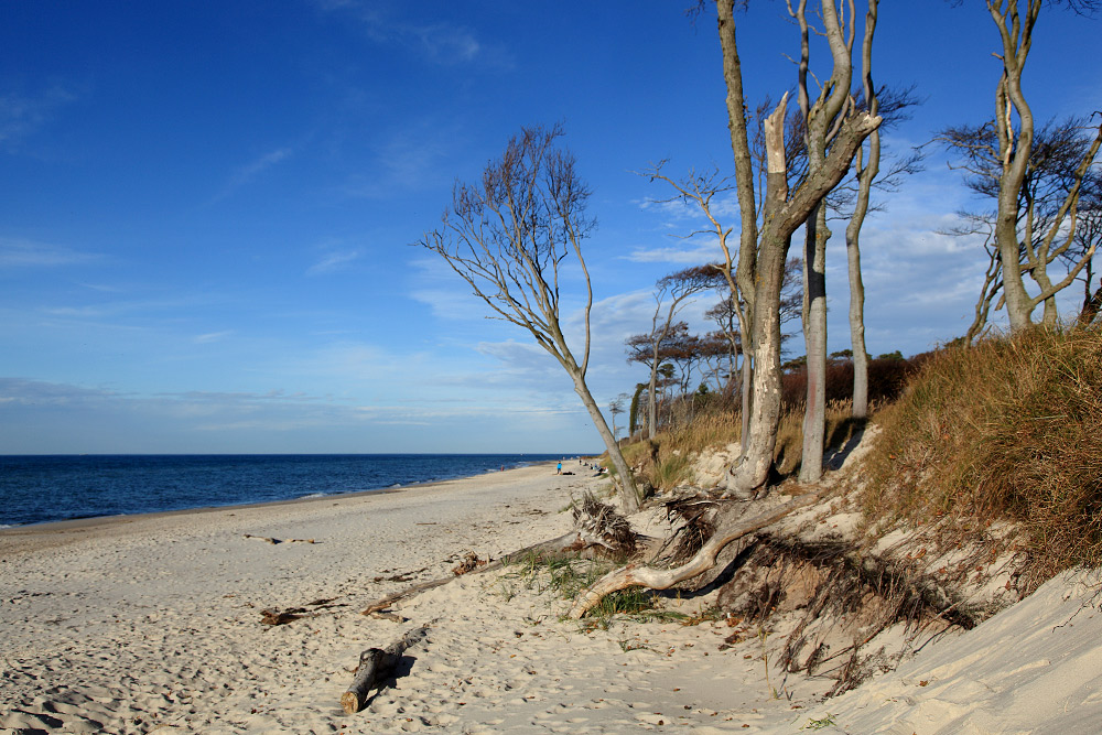 Am Weststrand