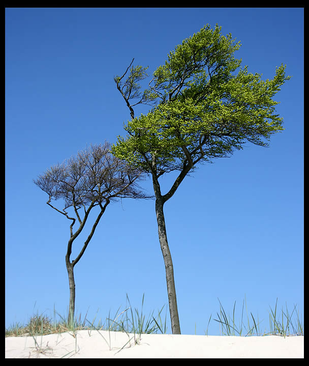 Am Weststrand