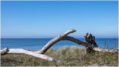 am Weststrand