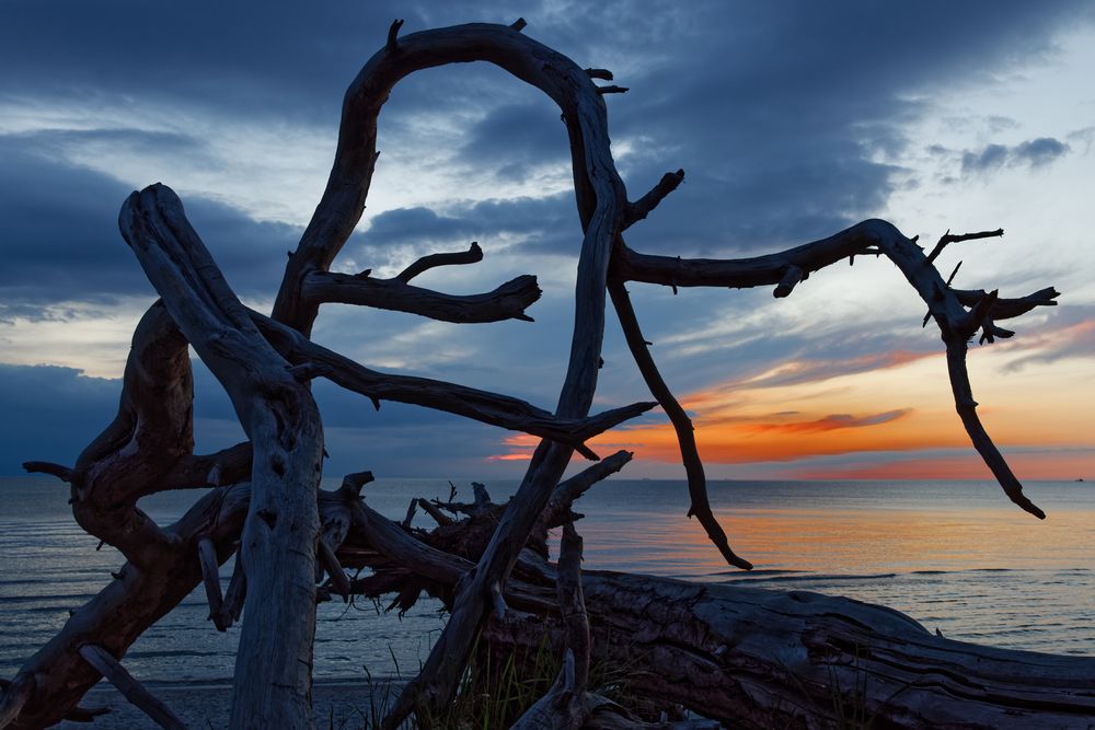 Am Weststrand auf dem Darß