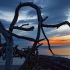 Am Weststrand auf dem Darß