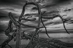 Am Weststrand auf dem Darß