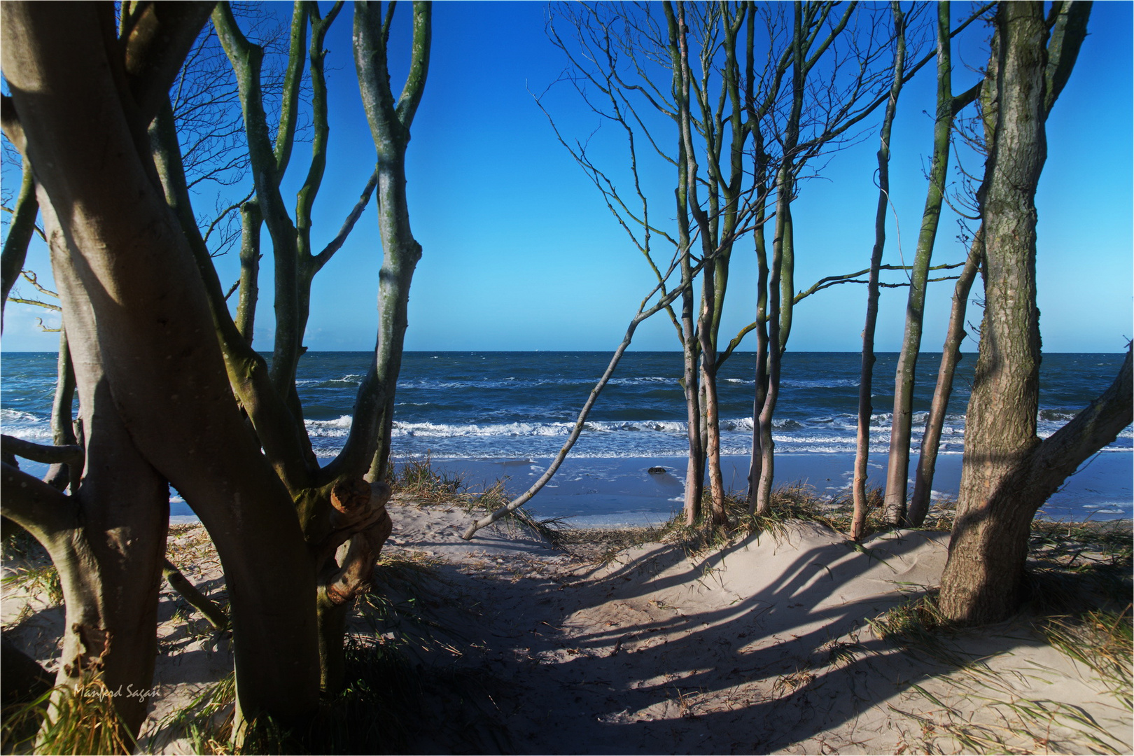 Am Weststrand auf dem Darß...