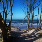 Am Weststrand auf dem Darß...