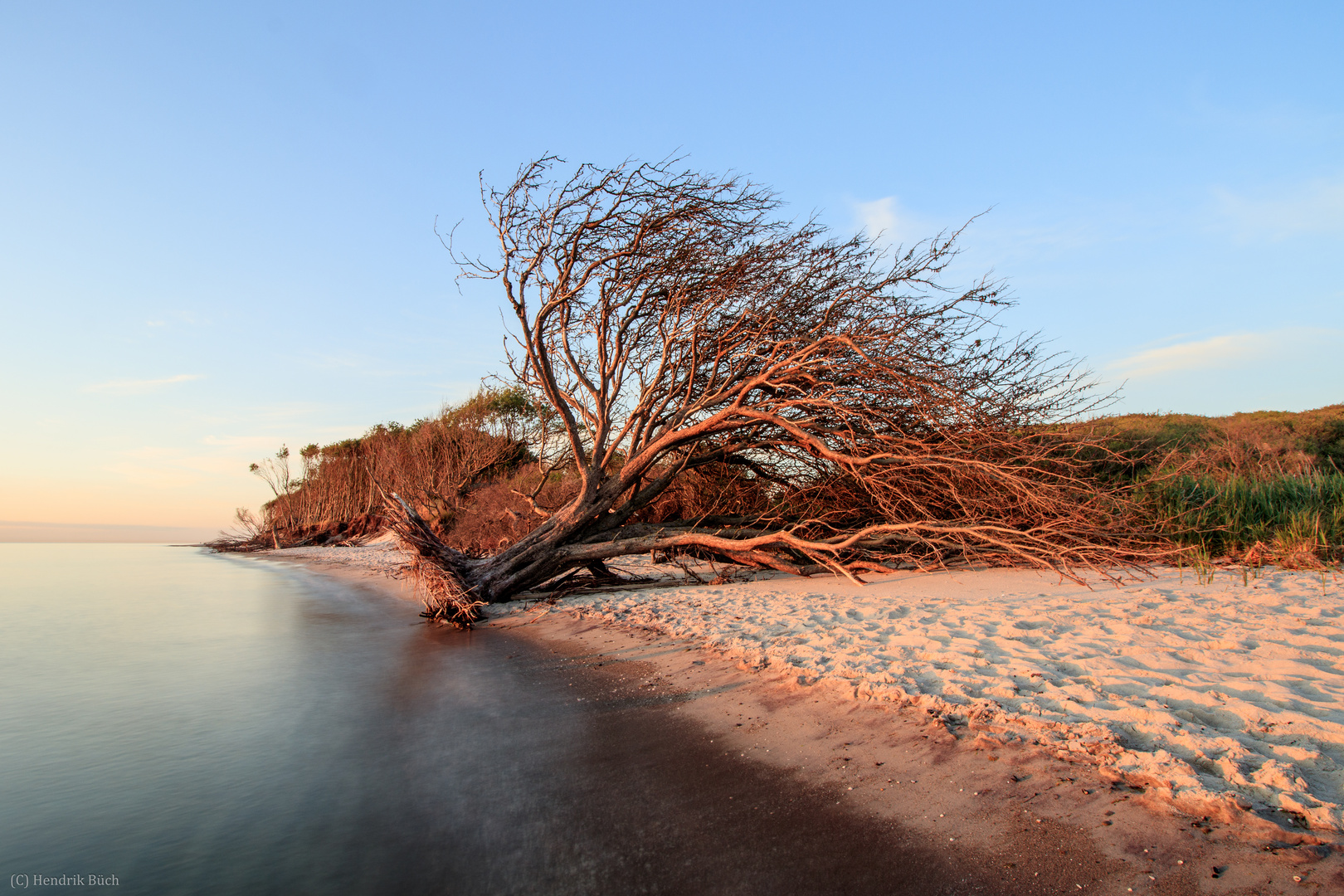 Am Weststrand auf dem Darß II