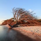 Am Weststrand auf dem Darß II