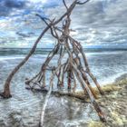 am Weststrand auf der Halbinsel Darß