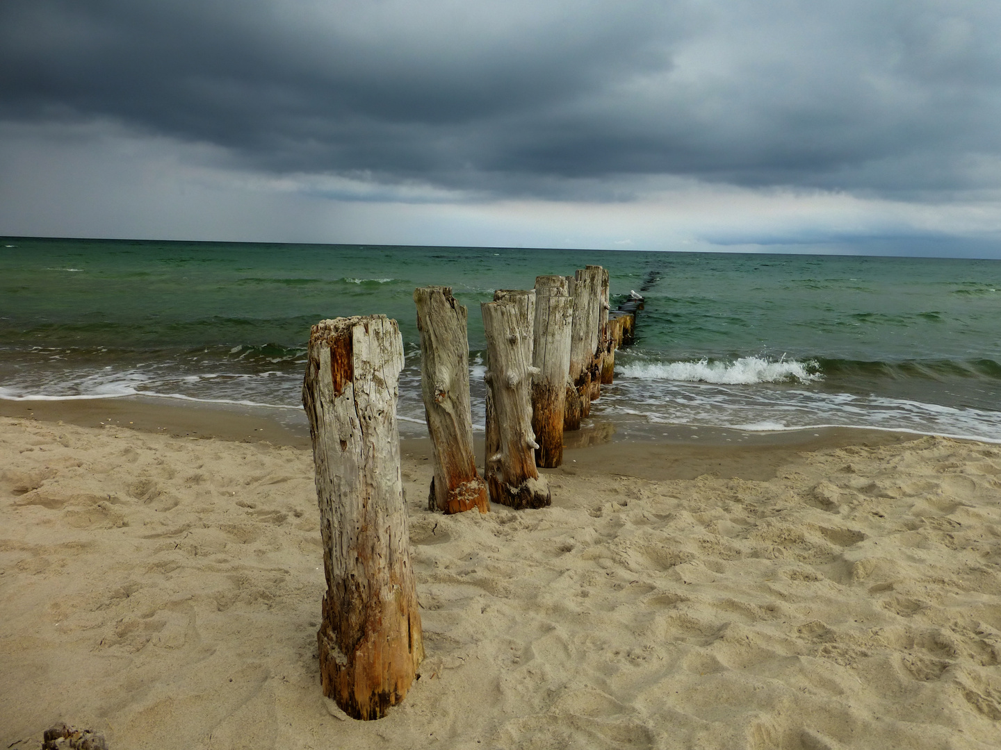 am Weststrand auf der Halbinsel Darß