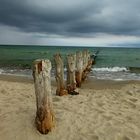 am Weststrand auf der Halbinsel Darß