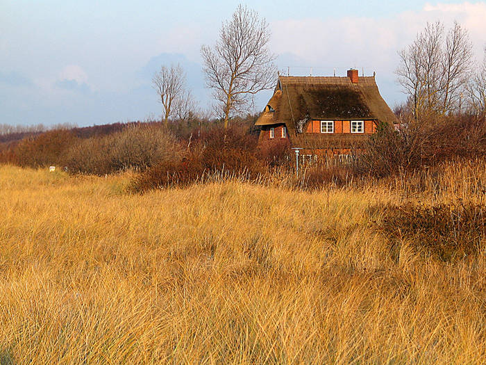 Am Weststrand auf der Halbinsel Darß