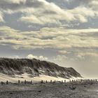 Am Weststrand bei Prerow