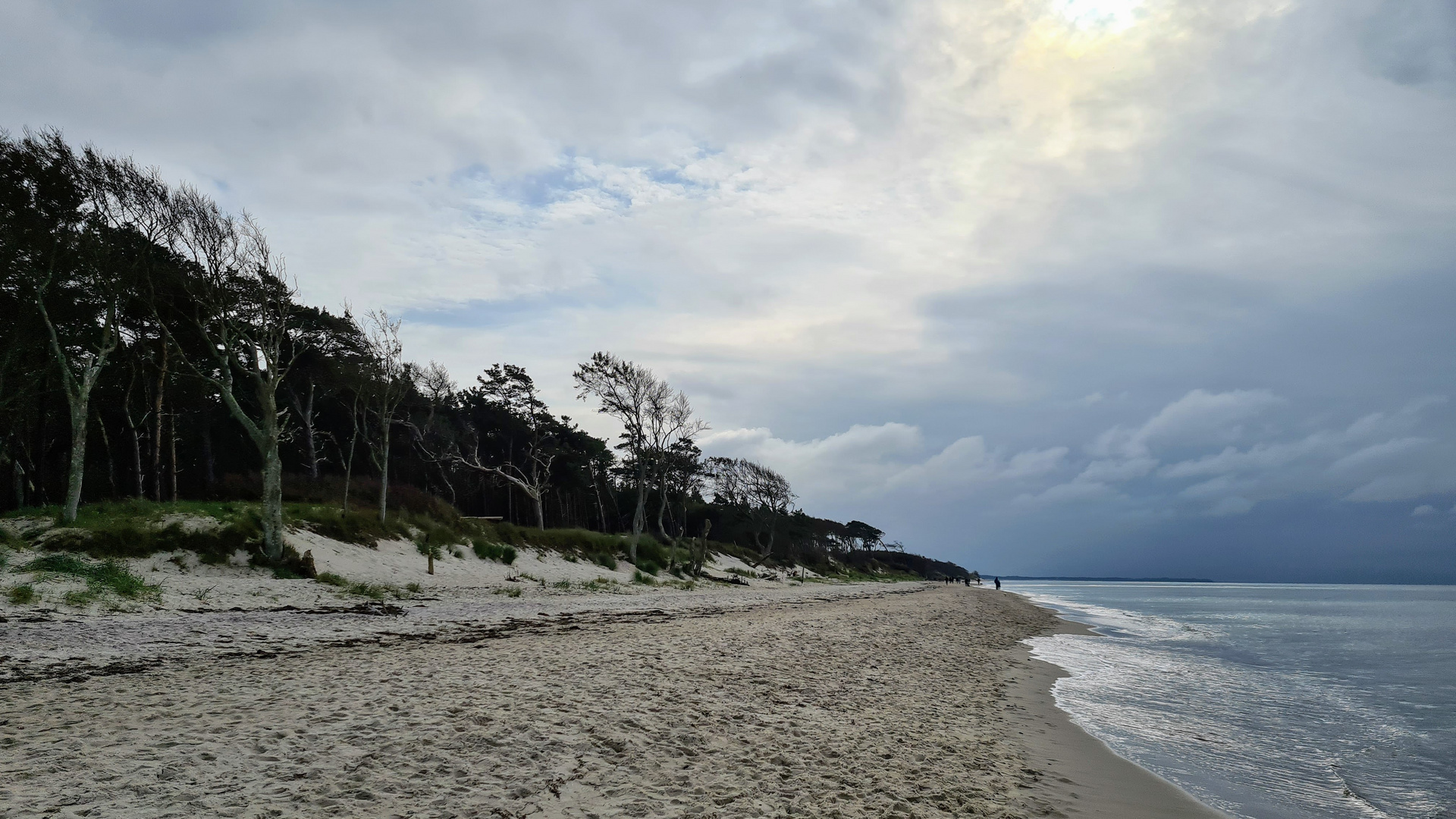 am Weststrand des Darß