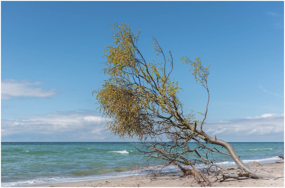 am Weststrand