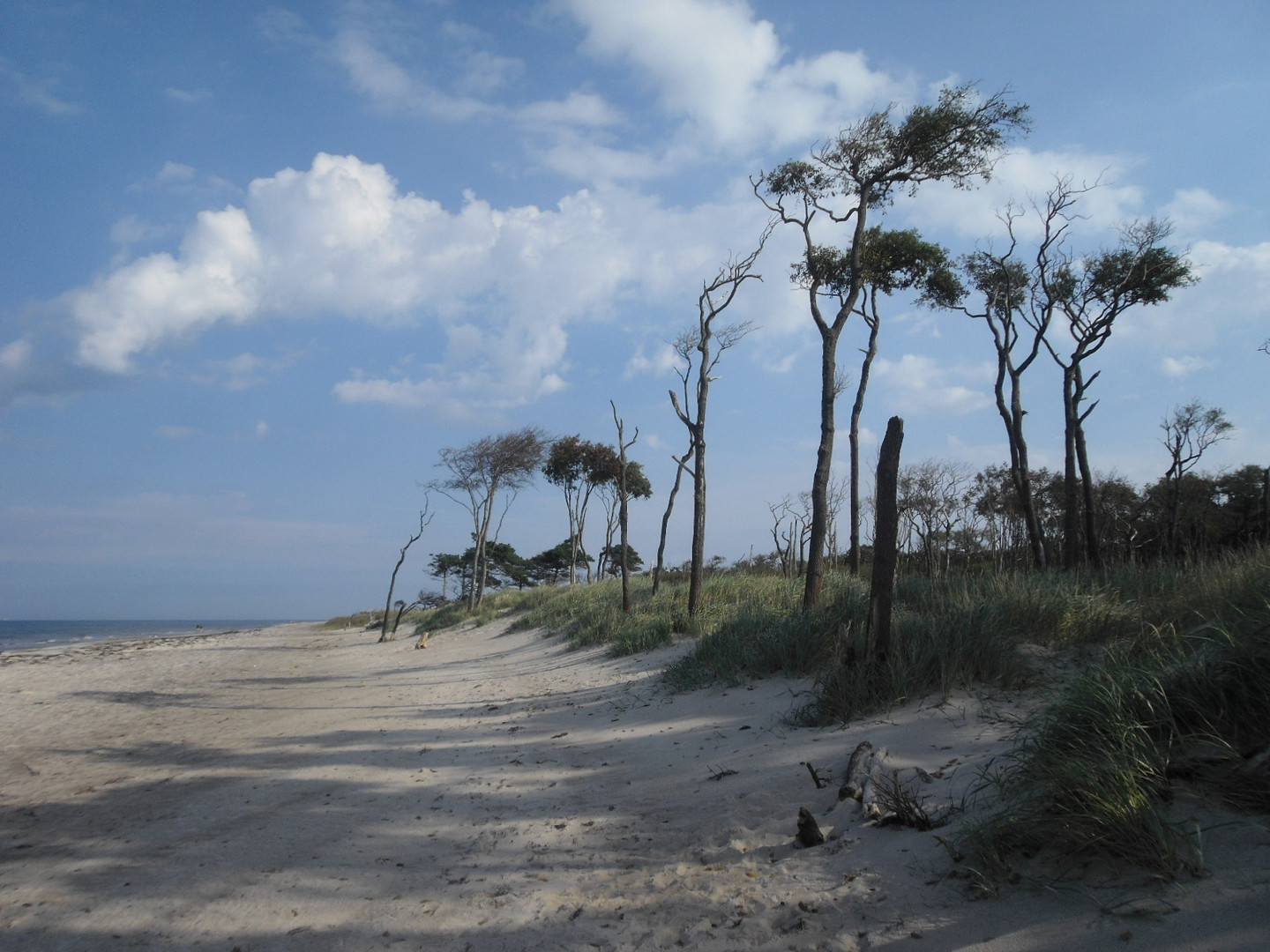 Am Weststrand