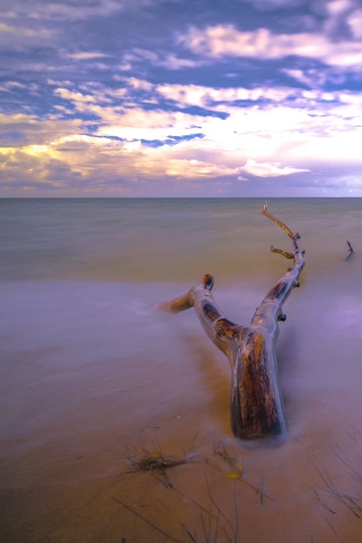 Am Weststrand II