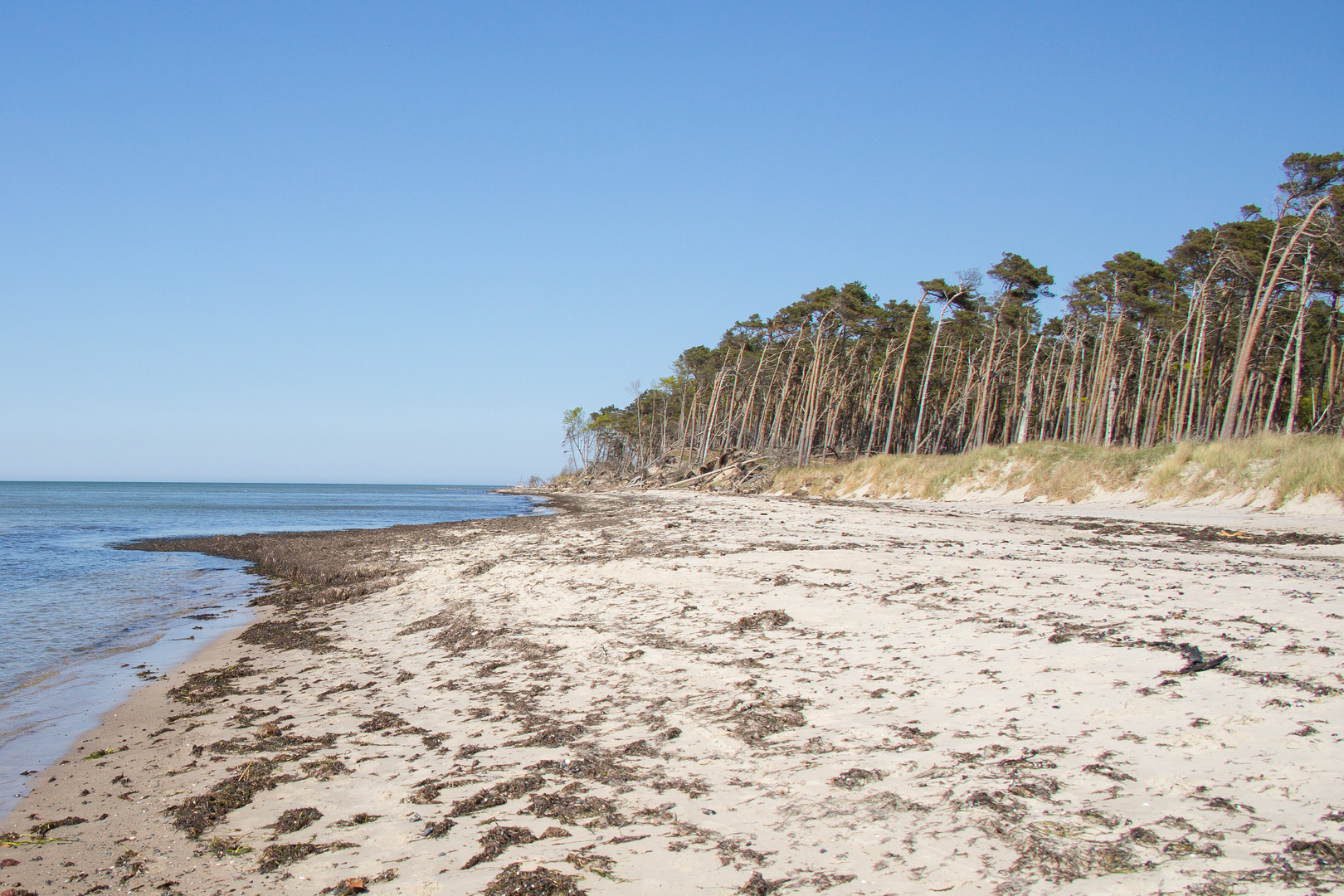 Am Weststrand nachmittags