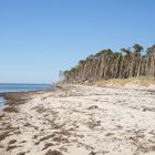 Am Weststrand nachmittags