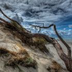 am Weststrand von Fischland Darß