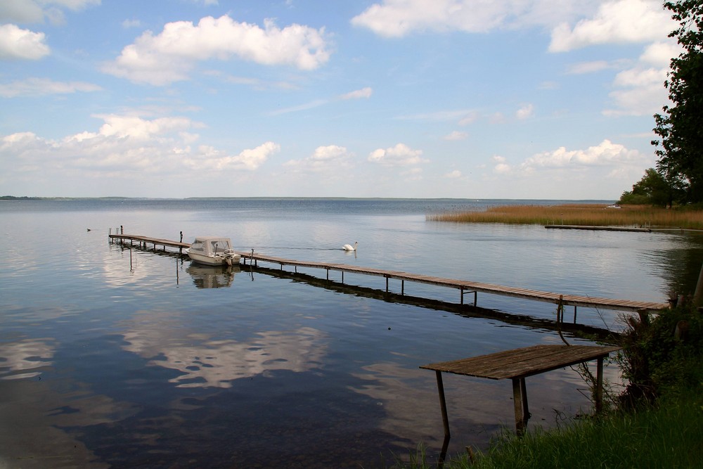 Am Westufer der Müritz