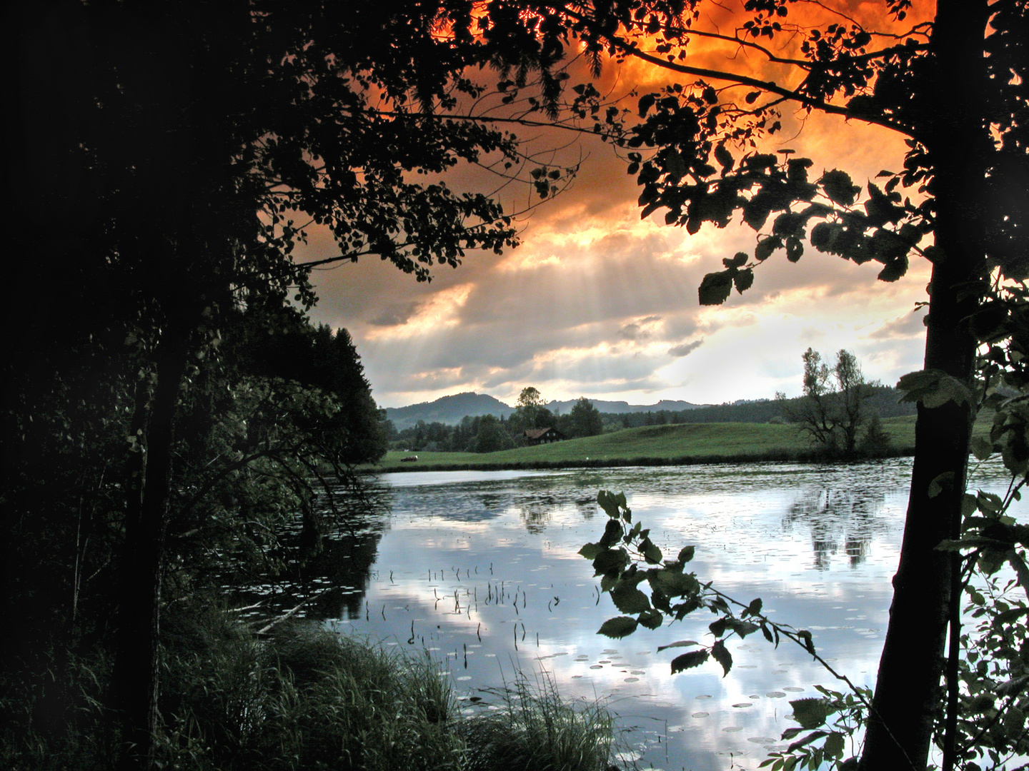 Am Widdumer Weiher