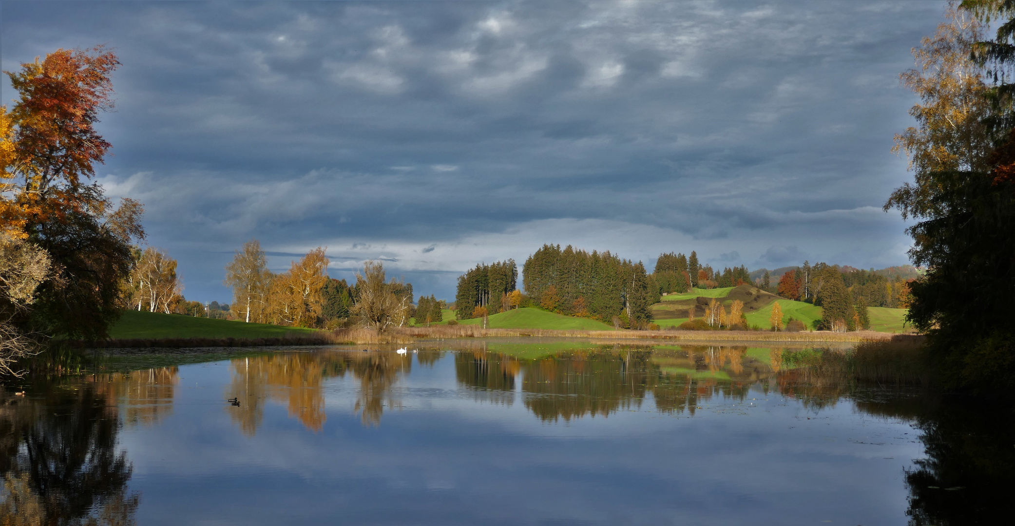 Am Widdumer Weiher