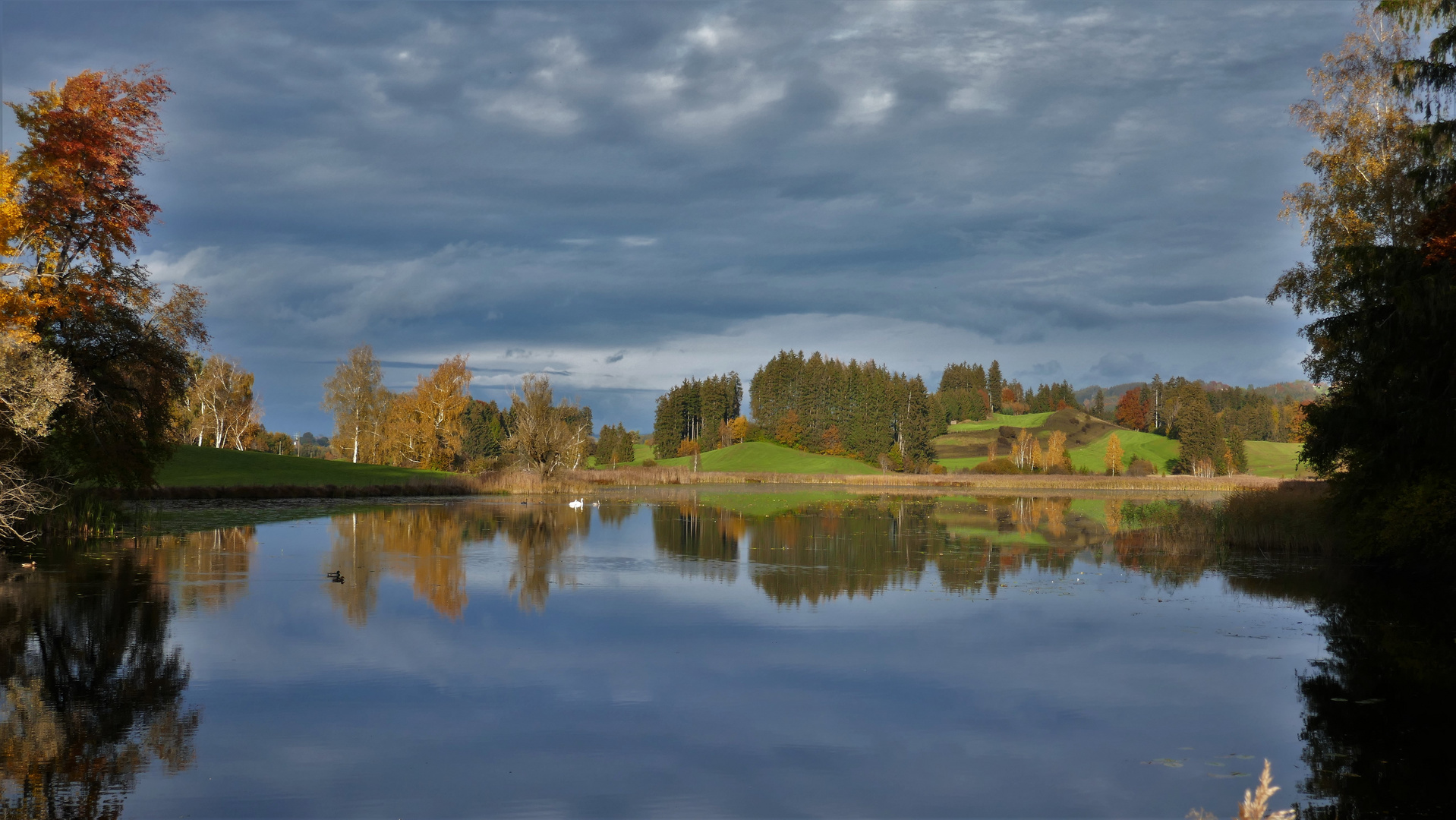 Am Widdumer Weiher