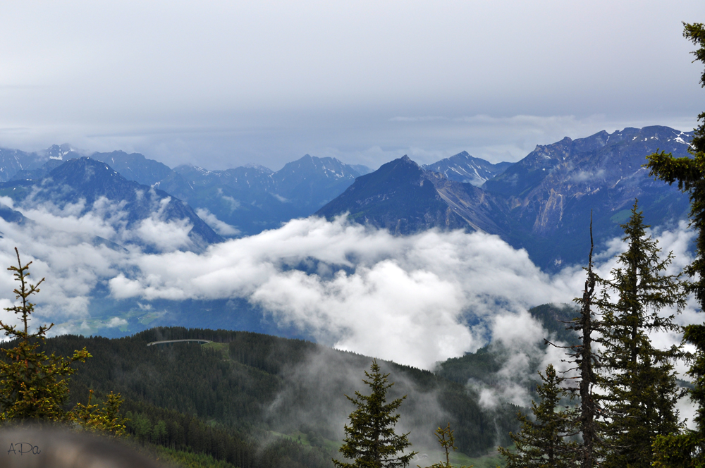 Am Wiedersberger Horn (2)