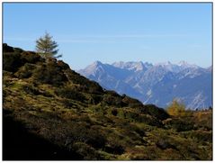 am Wiedersbergerhorn