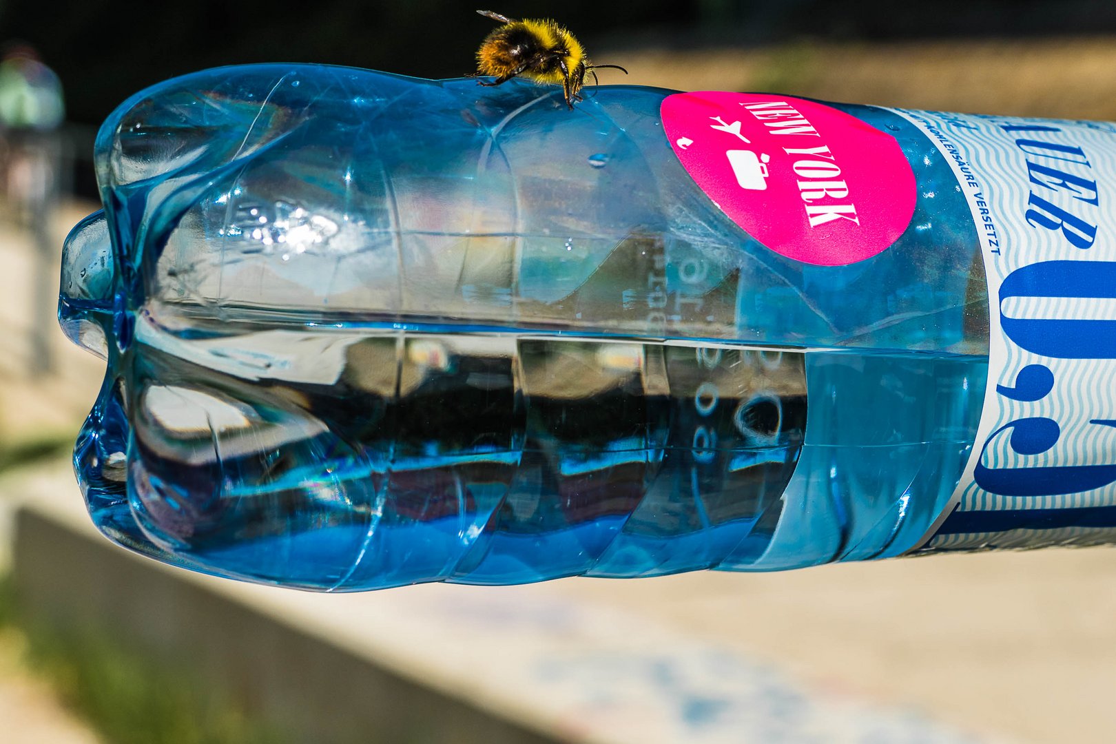 Am Wienfluss (13) Ich hab durst, hört mich denn Keiner .....