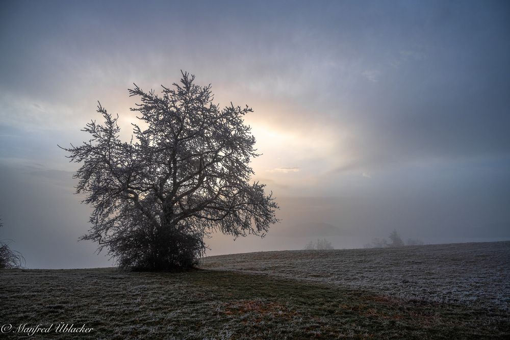 Am Wiesberg ...