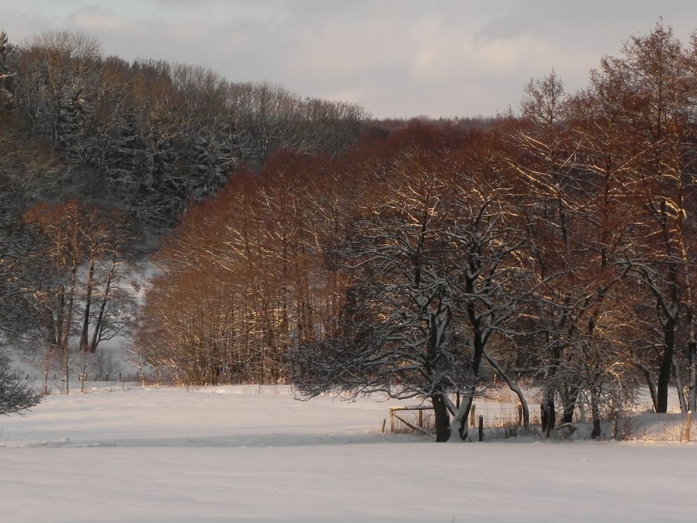 Am Wiesensee