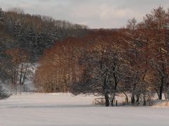 Am Wiesensee