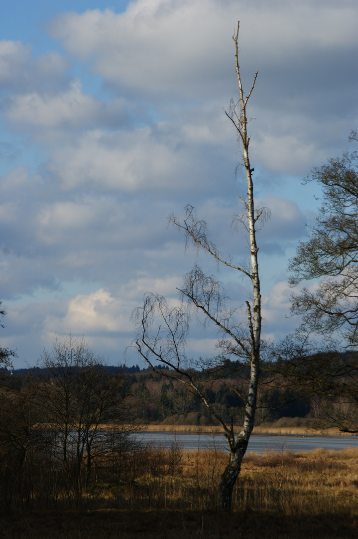 Am Wiesensee