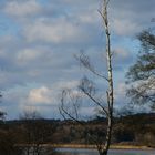 Am Wiesensee